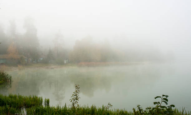 istock forest lake in the morning mist 1063085778