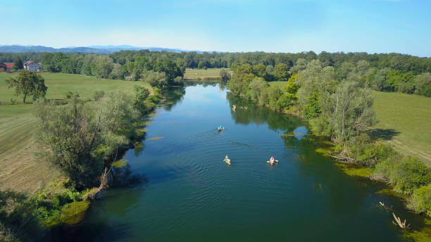 istock AERIAL: Flying behind a group of active tourists canoeing down a calm river. 1063095844