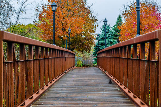 istock Rusty steel footbridge in the autumn with a squirrel 1063099400