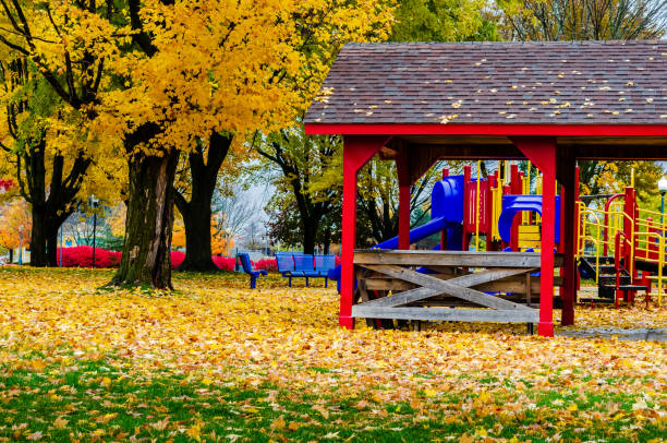 Playground in a public park in the autumn