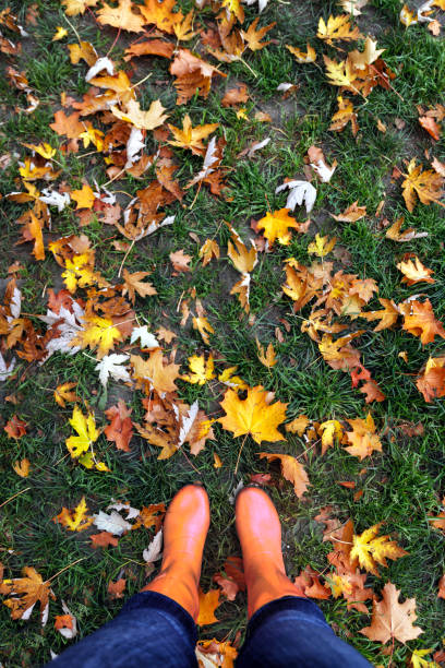 ゴム足はカエデの葉が緑の芝生に赤黄色オレンジ色秋の背景にブーツします。平面図です。大気中のウォーキング、健康的なライフ スタイルのコンセプトです。レトロなフィルムの調子を整 - formal garden flower bed women grass ストックフォトと画像