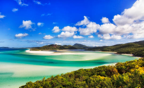 1,300+ Whitehaven Beach Stock Photos, Pictures & Royalty-Free Images ...