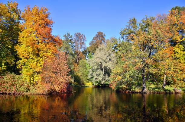 istock colorful autumn landscape 1063139616
