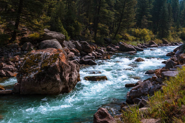 río de montaña escarpadas. giant boulder en agua dulce. - montana water landscape nature fotografías e imágenes de stock