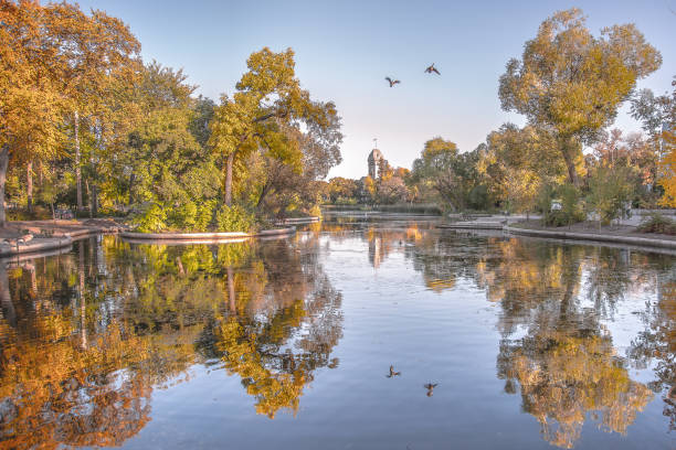 Autumn in the park with geese