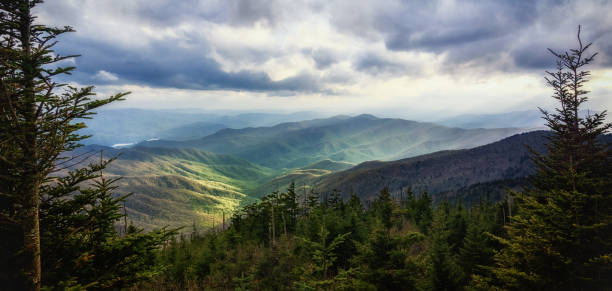 ширококорамная дикая природа. национальный парк грейт-смоки-маунтинс. - wilderness area usa tree day стоковые фото и изображения