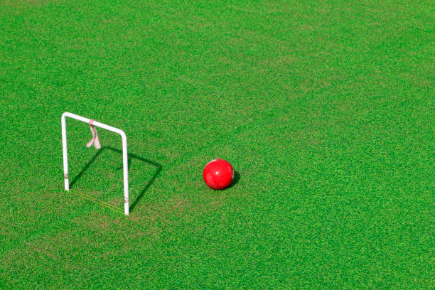 istock Chinese croquet box and Croquet 1063159870