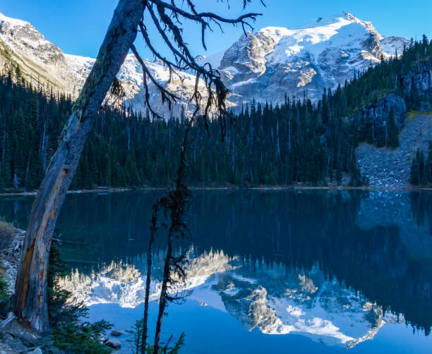 istock Joffre Provincial Park scenic view 1063162400