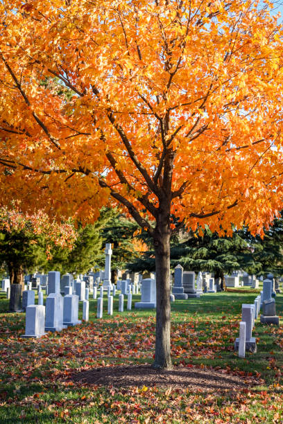 istock Arlington National Cemetery in autumn 1063172306