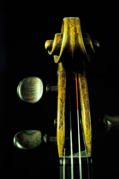 istock Detail of Viola 1063193734