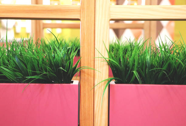 Interior of the restaurant, cafe. Artificial grass in pink pots.