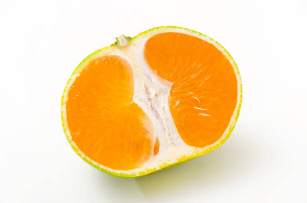 istock Half Cut Citrus unshiu, mandarin satsuma orange 1063208482