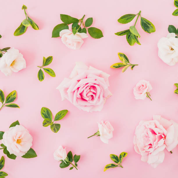 istock Floral composition with roses and leaves on pastel pink background. Flat lay, top view. 1063209720