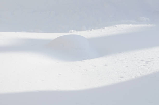 istock Texture of white snow. Natural winter background with snow 1063210910