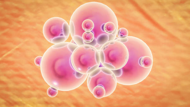 istock stem cells treatment concept stem cells immunotherapy 1063212192