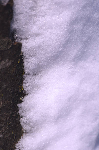 istock Background of fresh snow. Fresh snow texture 1063219560