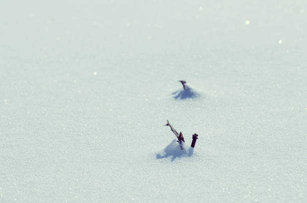 istock Background of fresh snow 1063223726