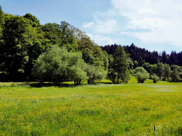 istock Landscape, Wingsbach, Taunus 1063223958