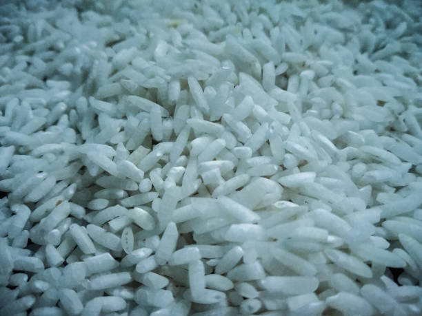 istock Rice grains close up shot 1063230890