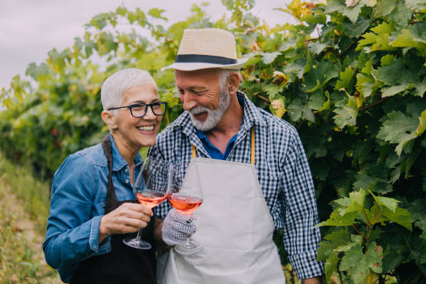 istock Senior couple with wine glasses 1063232602
