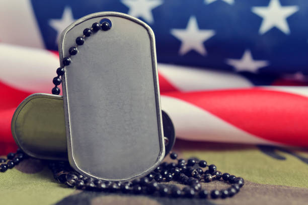 American flag and soldiers badges. American flag and soldiers badges.Veterans Day Concept. national guard stock pictures, royalty-free photos & images