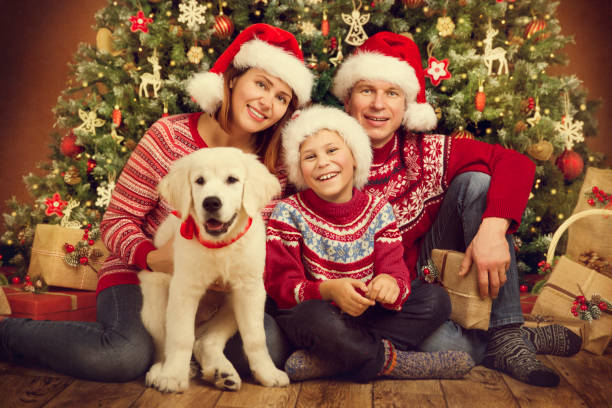 weihnachten-familie und hund unter weihnachtsbaum, glückliche mutter-vater-kind in rote hüte - drei personen fotos stock-fotos und bilder