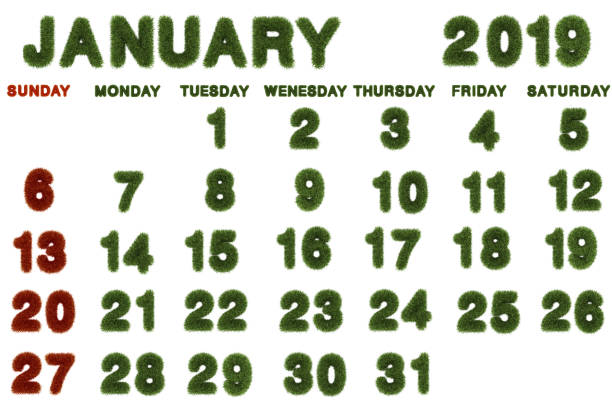 istock Calendar for January 2019 on white background,3d rendering green grass 1063242266