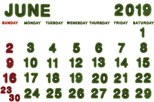 istock Calendar for June 2019 on white background,3d rendering green grass 1063242302