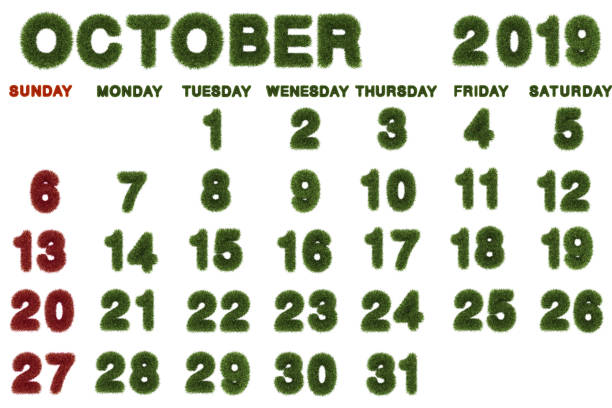 istock Calendar for October 2019 on white background,3d rendering green grass 1063242378