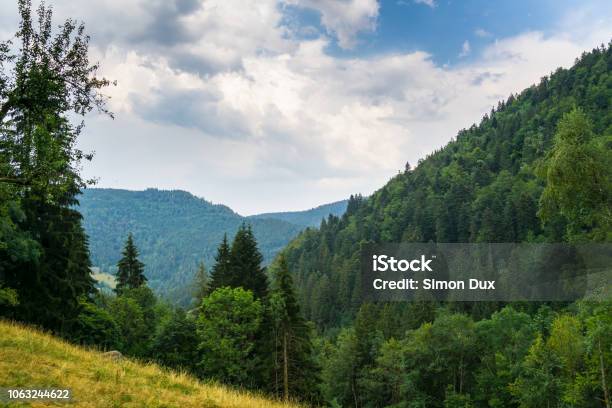 Germany Protected Landscape Of Avalanche Forest Nature Near Simonswald Stock Photo - Download Image Now