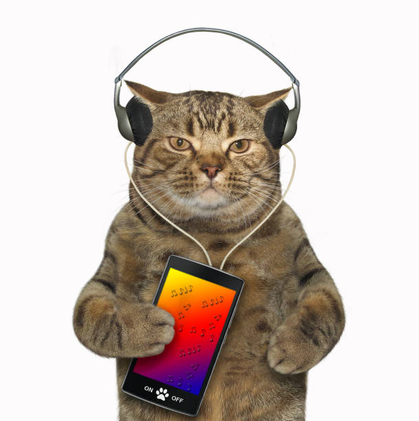 istock Cat in headphones with a smartphone 2 1063245912
