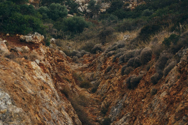 Crete, Europe, Farm, Field,