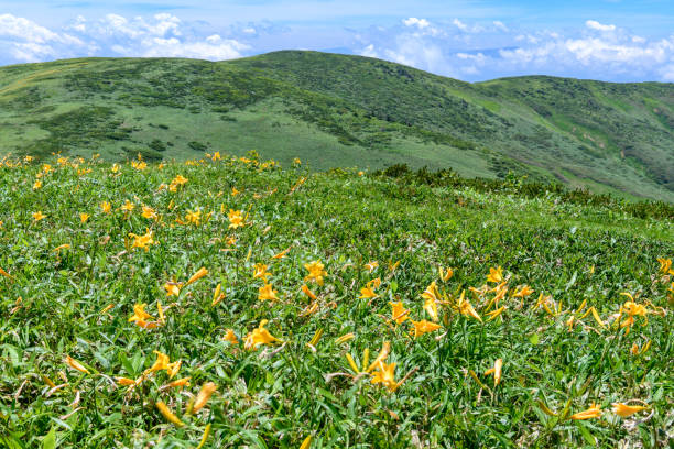 istock Mt.Makihata seen from Mt.Ushigadake 1063253502
