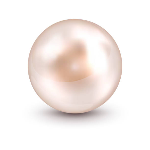 vektor realistische perle symbol isoliert auf einem weißen hintergrund. moderne glänzende kugel oder kreis objektiv - pearl oyster shell white stock-grafiken, -clipart, -cartoons und -symbole
