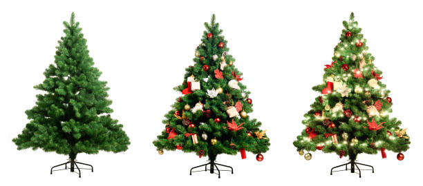 Christmas tree on white background three version, Pine with no decoration, decorated and lighten decorated christmas tree stock photo