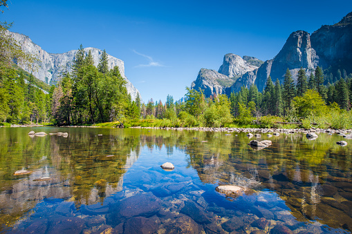 Classic view of scenic Yosemite Valley with famous El Capitan rock climbing summit and idyllic Merced river on a sunny day with blue sky and clouds in summer, Yosemite National Park, California, USA