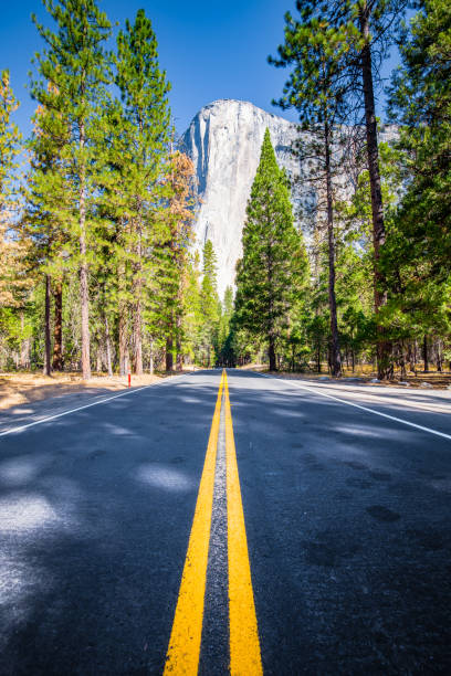 Famous El Capitan mountain peak with road running through Yosemite Valley in beautiful golden morning light at sunrise in summer, Yosemite National Park, California, USA