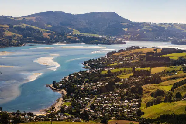 Photo of Dunedin town and bay as seen from the hills above, South Island, New Zealand.