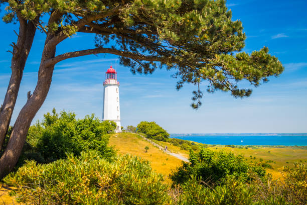Classic view of famous Lighthouse Dornbusch on the beautiful island Hiddensee with blooming flowers in summer, Baltic Sea, Mecklenburg-Vorpommern, Germany