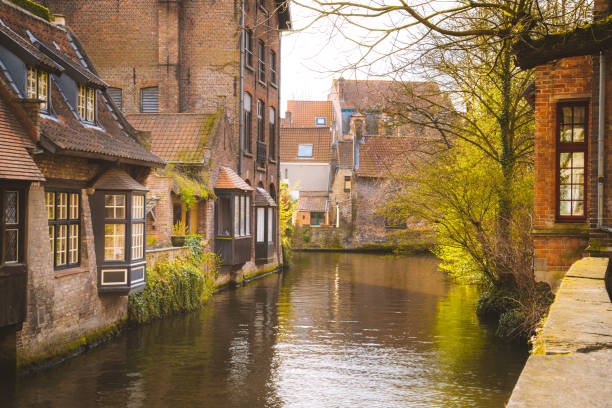 역사적인 도시 brugge 일출, 플랑드르, 벨기에 - bruges cityscape europe autumn 뉴스 사진 이미지