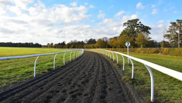 A jockeys eye view looking along the practice gallops on Newmarket Heath to the next bend with a furlong marker on the right