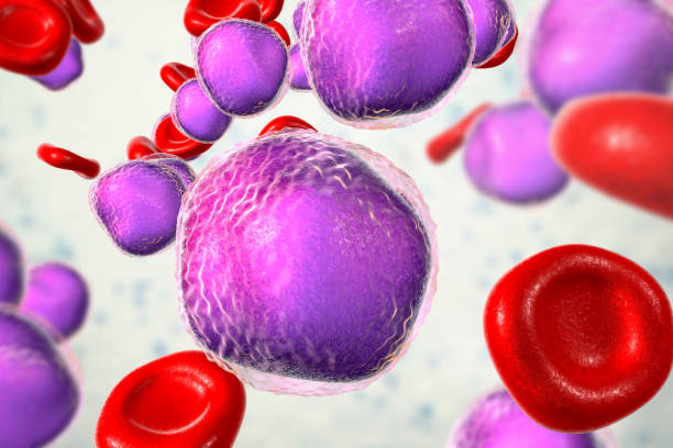 острый лимфобластный лейкоз - cancer cell flash стоковые фото и изображения