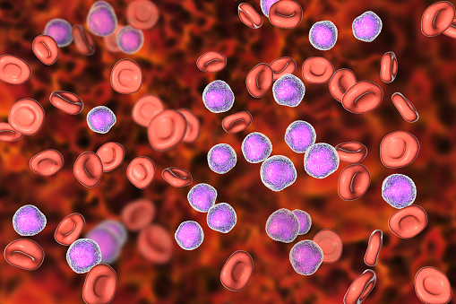 Hematology Pictures | Download Free Images on Unsplash