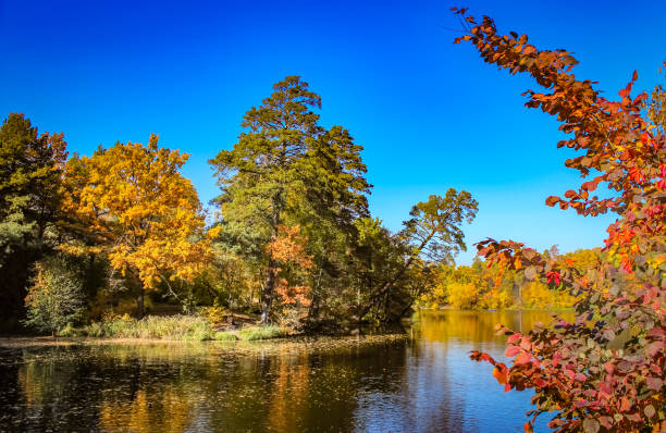 istock autumn landscape with lake 1063276046