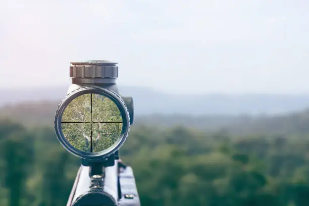 Photo of rifle target view on Natural Background. Image of a rifle scope sight used for aiming with a weapon