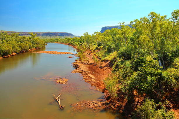 istock Victoria River in Australian outback 1063280078