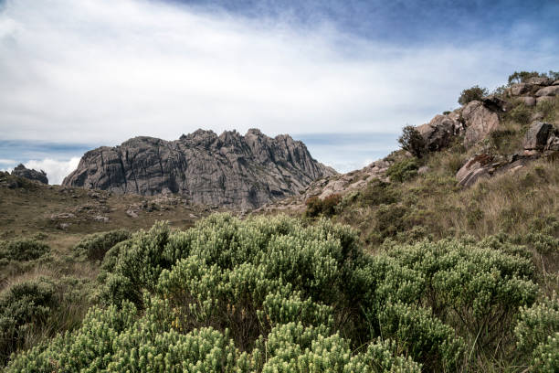 istock Itatiaia National Park, Brazil 1063280378