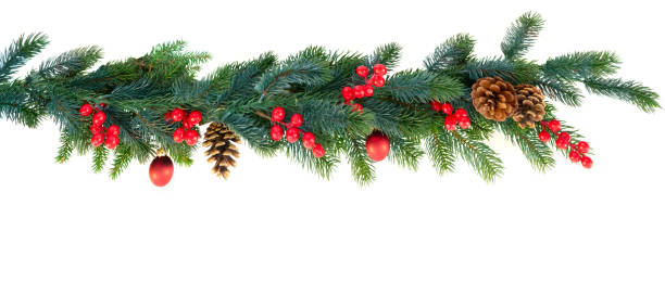 Christmas garland on white Christmas garland on isolated white background christmas pine cone frame branch stock pictures, royalty-free photos & images