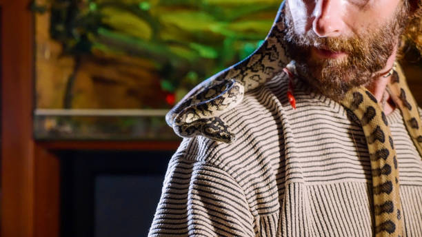 istock Snake is crawling on the shoulders of bearded hipster 1063286876