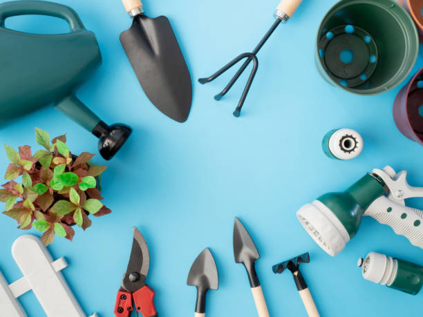 istock top view of garden concept with Gardening tools on blue background. 1063287006